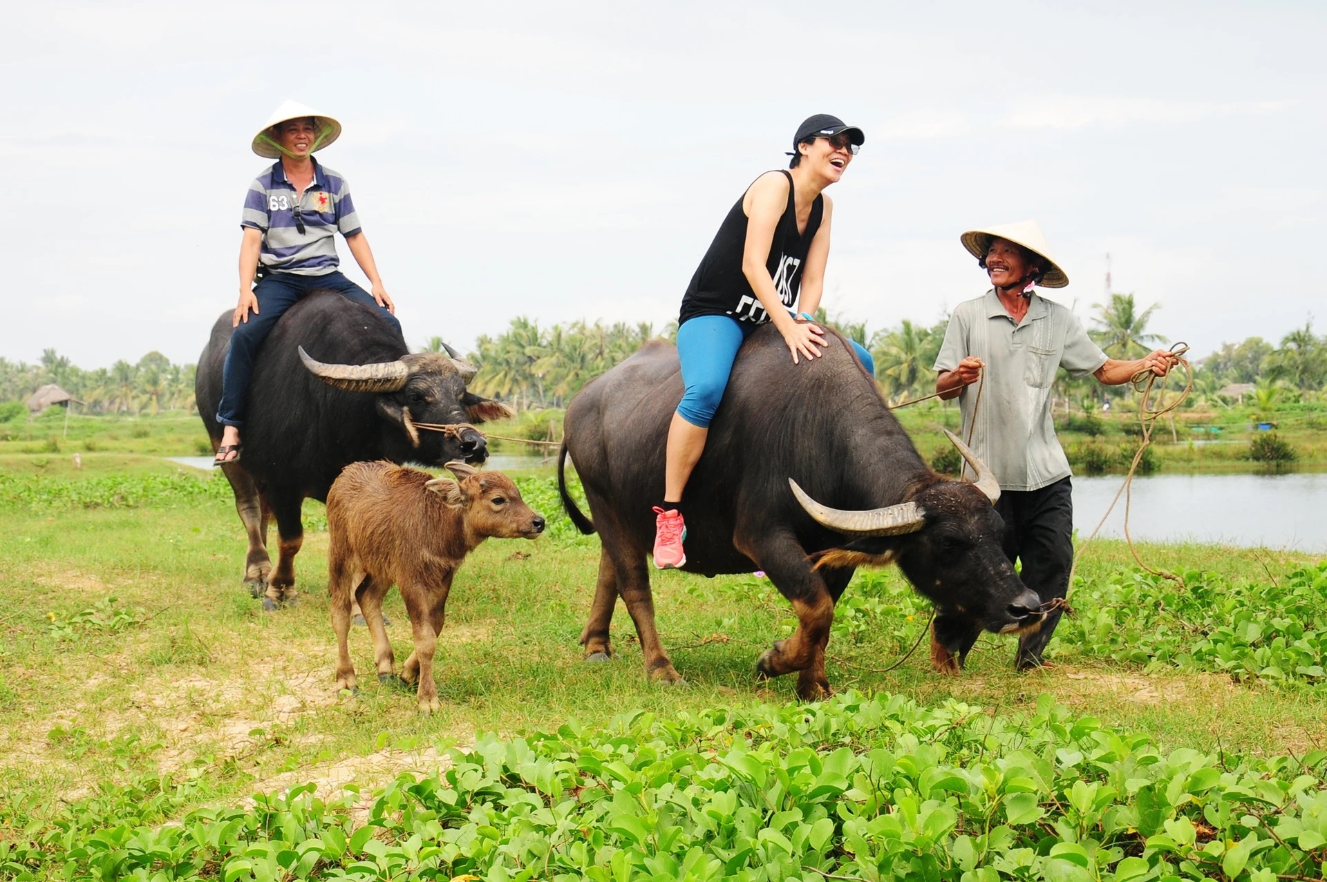 Quảng bá làng quê Việt Nam đến với du khách quốc tế - 3